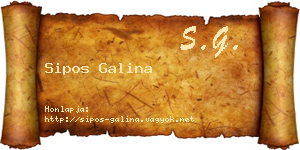 Sipos Galina névjegykártya
